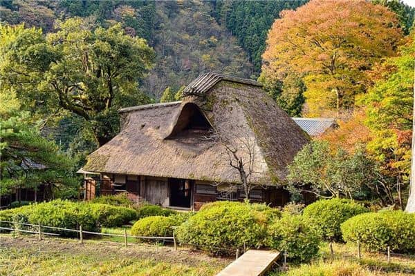 梦见茅房草屋