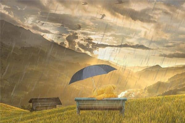 梦见太阳在雨中照耀是什么意思