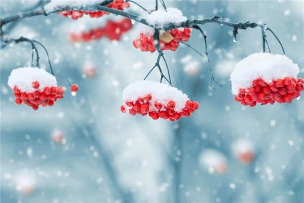 梦见雪下雪是什么意思