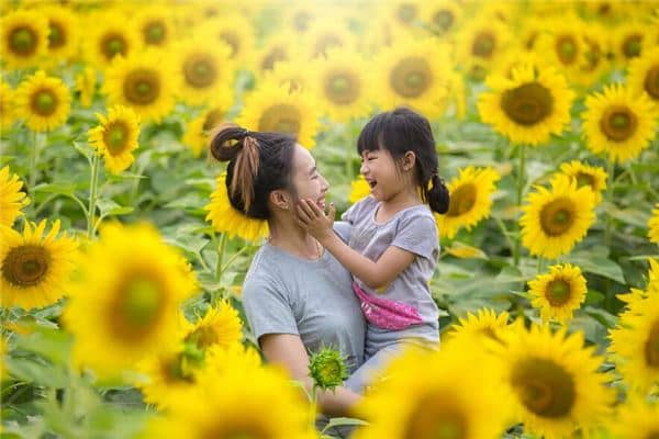 梦见狂喜是什么意思
