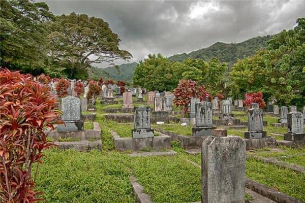 梦见山中有墓或冢是什么意思