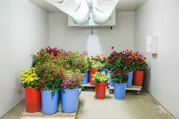 梦见储藏室储物间