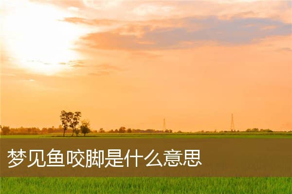 梦见鱼咬脚是什么意思