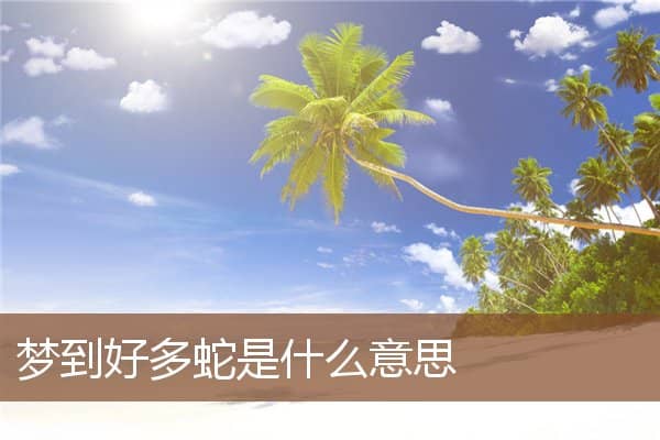梦到好多蛇是什么意思