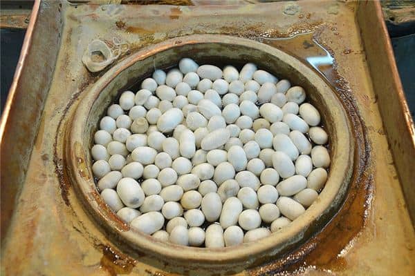 梦见蚕茧是什么预兆是什么意思