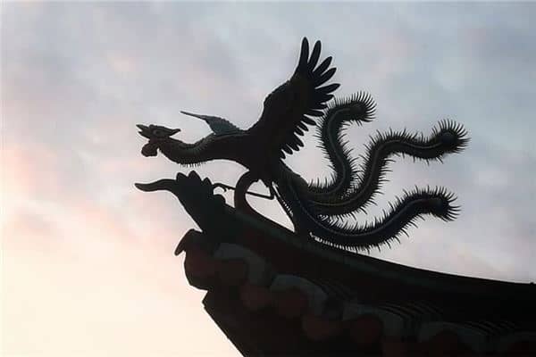 梦见凤凰是胎梦吗是什么意思