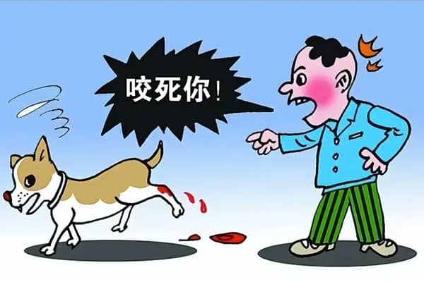晚上梦见狗咬人是什么意思