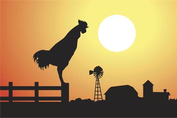 梦到公鸡是什么意思