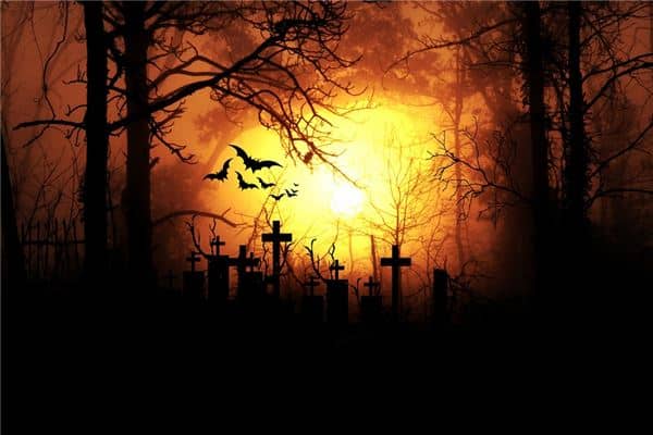 梦见打死蝙蝠是什么意思