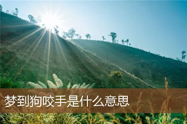 梦到狗咬手是什么意思