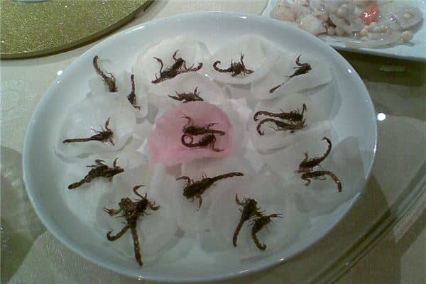 梦见好多蝎子是什么意思