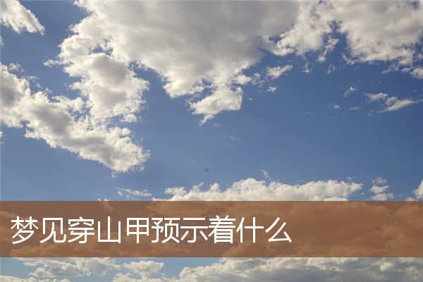 梦见穿山甲预示着什么是什么意思