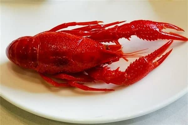 梦见钓龙虾什么预兆是什么意思