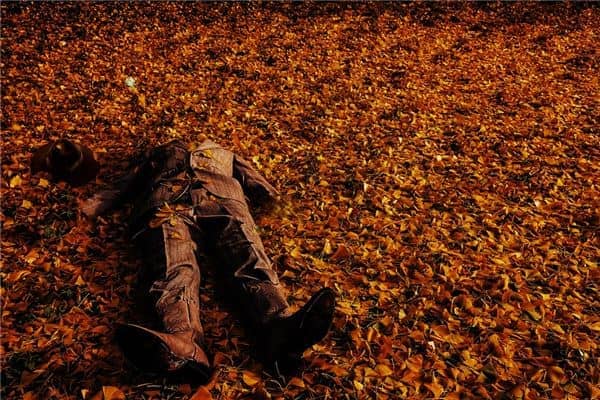 梦见死尸有什么说法是什么意思