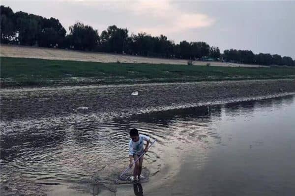 男梦见捞鱼是什么意思