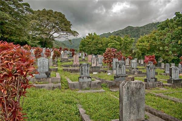 女人梦见坟墓棺材