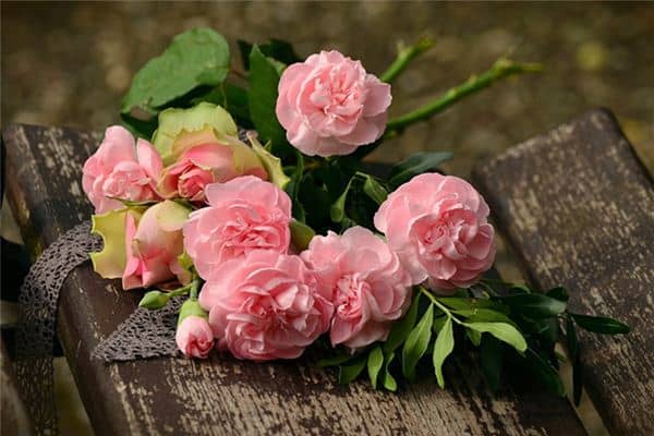 梦见粉红色的蛇是什么意思