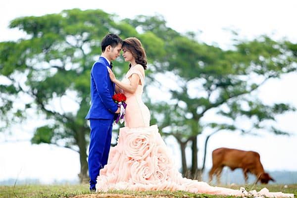 梦见婚纱照
