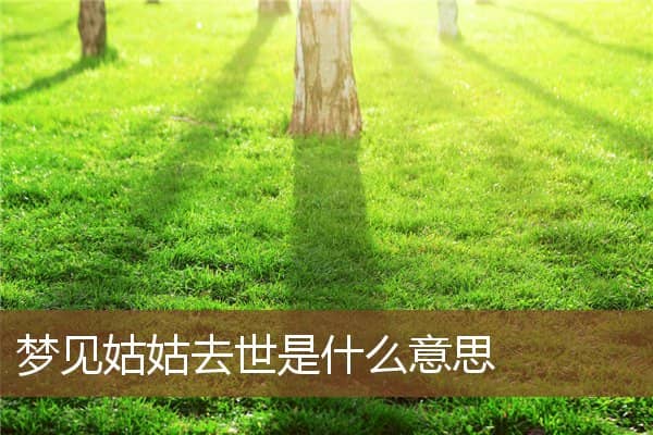 梦见姑姑去世是什么意思