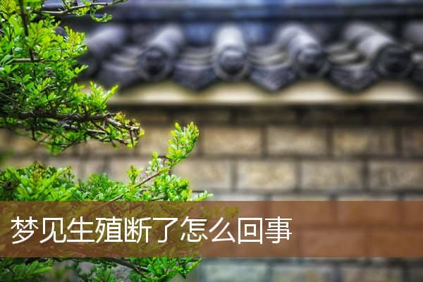 梦见生殖断了怎么回事是什么意思
