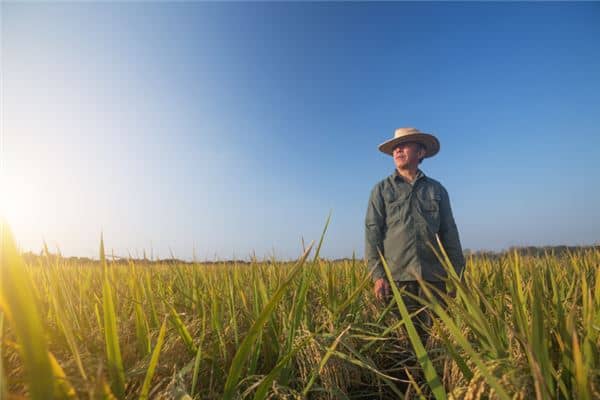 梦到去世的长辈是什么意思
