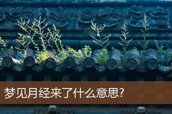 梦见月经来了什么意思?是什么意思