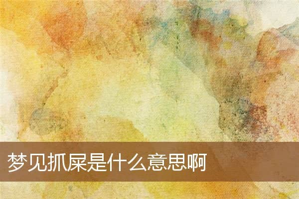 梦见抓屎是什么意思啊是什么意思