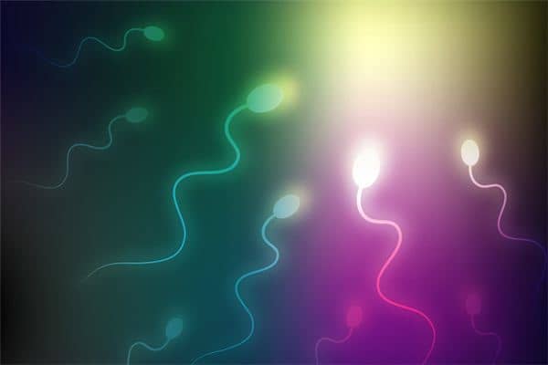 梦见精子预示着什么是什么意思