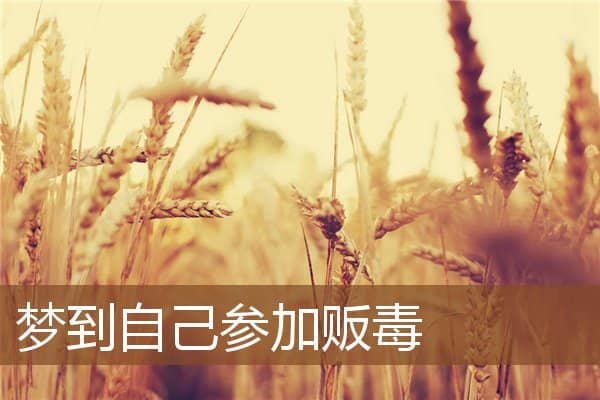 梦到自己参加贩毒是什么意思