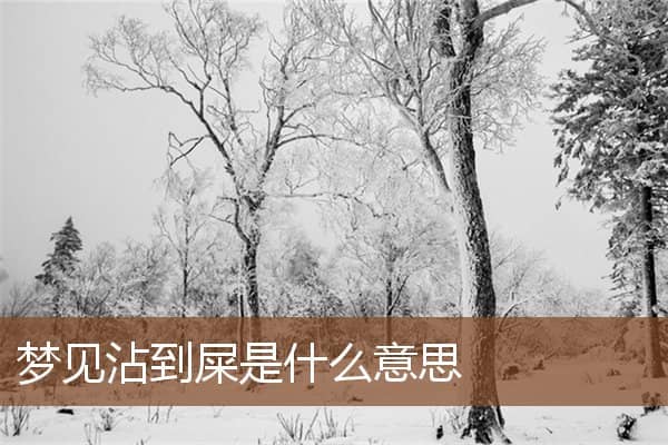 梦见沾到屎是什么意思