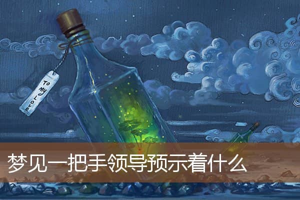 梦见一把手领导预示着什么是什么意思