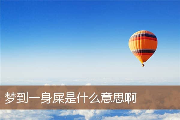 梦到一身屎是什么意思啊是什么意思