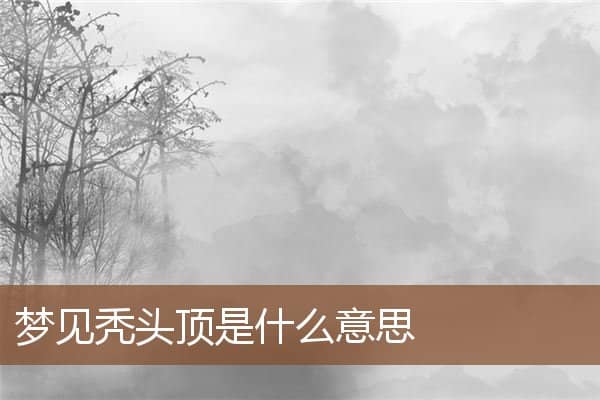 梦见秃头顶是什么意思