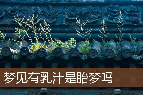 梦见有乳汁是胎梦吗是什么意思