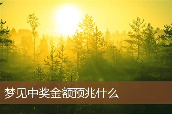 梦见中奖金额预兆什么是什么意思