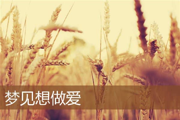 梦见想做爱是什么意思