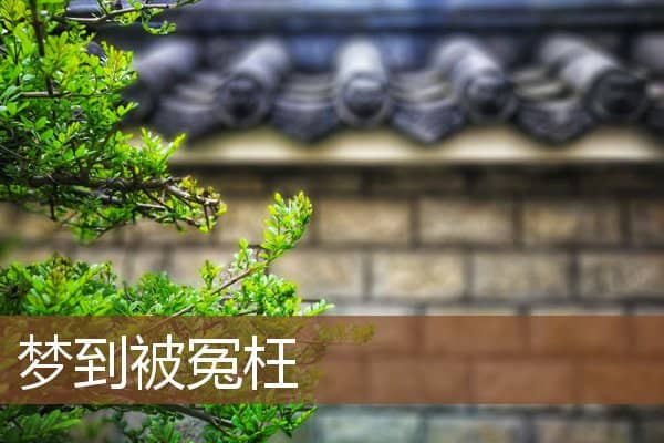 梦到被冤枉是什么意思