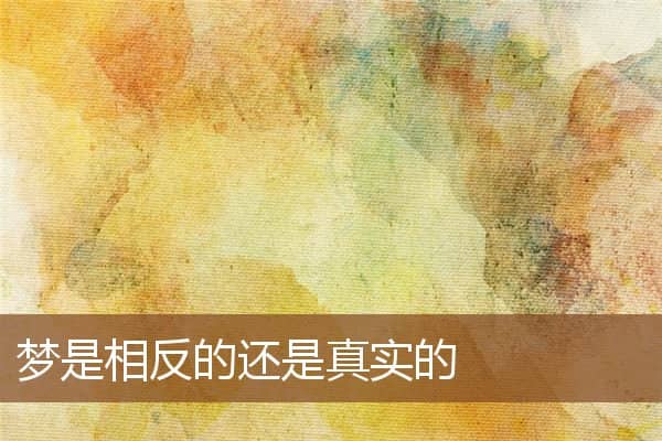 梦是相反的还是真实的是什么意思