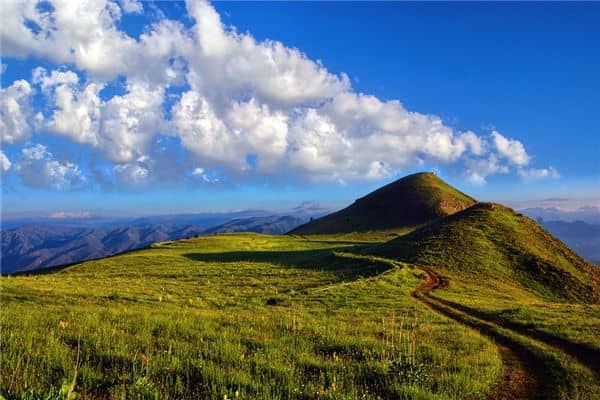 梦见山路是什么意思