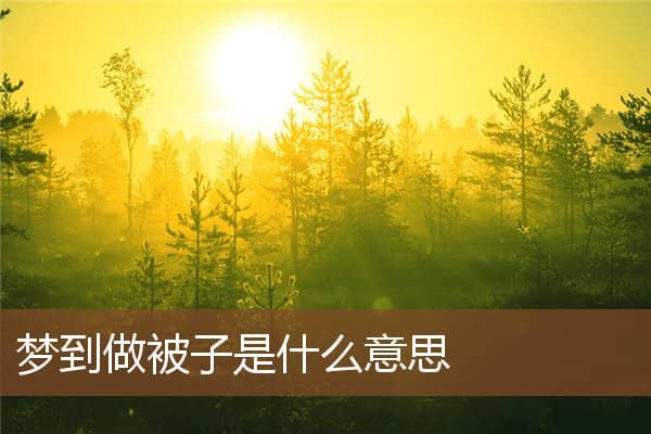 梦到做被子是什么意思