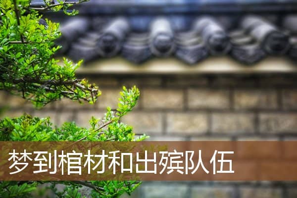 梦到棺材和出殡队伍是什么意思