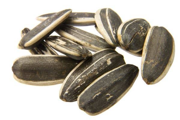 梦到吃瓜子是什么意思