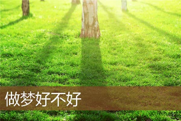 做梦好不好是什么意思