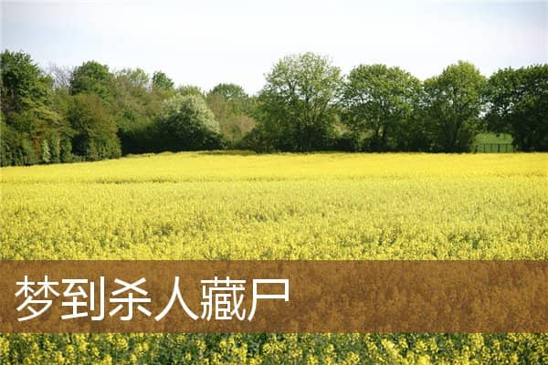 梦到杀人藏尸是什么意思