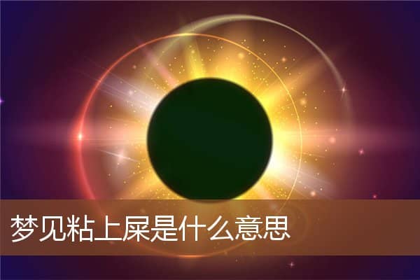 梦见粘上屎是什么意思