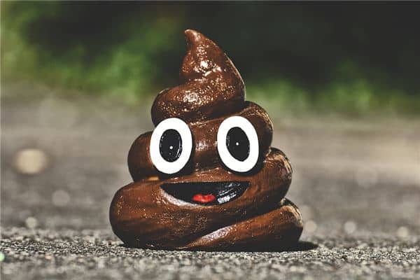 梦见遍地都是屎是什么意思