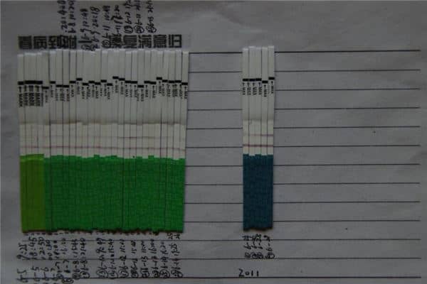 备孕人梦见试纸两道杠是什么意思