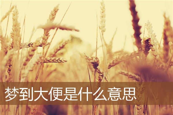 梦到大便是什么意思