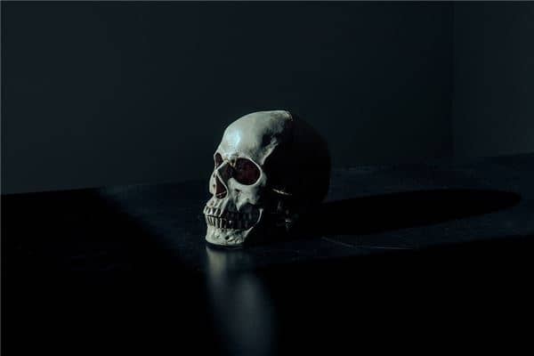 梦见白骨是什么兆头是什么意思