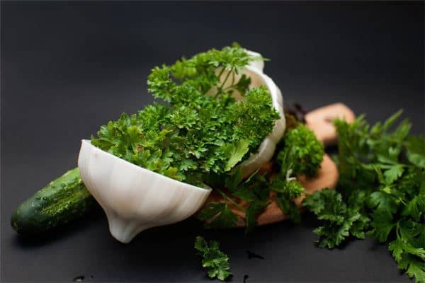 梦到绿叶菜是什么意思